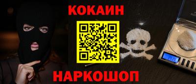 кокс Гатчина
