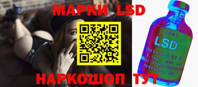 кокс Гатчина