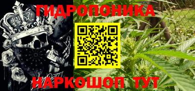 кокс Гатчина