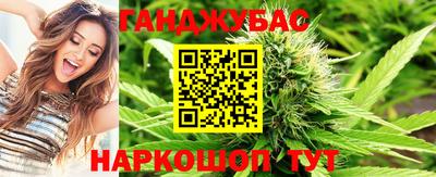 кокс Гатчина