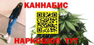кокс Гатчина