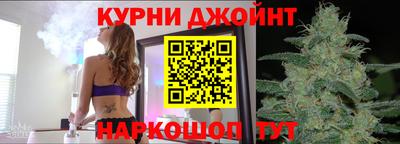 кокс Гатчина