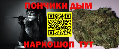 кокс Гатчина