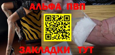 кокс Гатчина