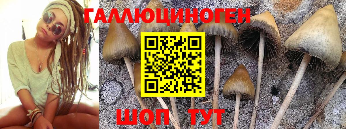 Галлюциногенные грибы прущие грибы  Вход с VPN  Москва 