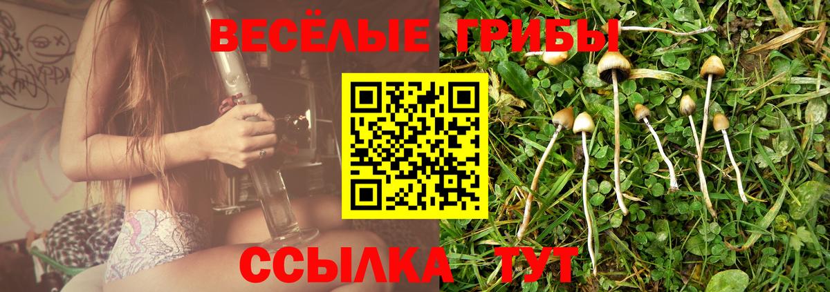 Псилоцибиновые грибы ЛСД Москва